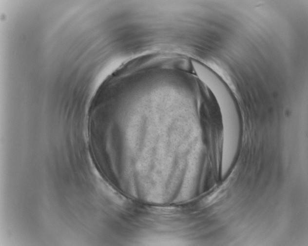 X0000088831342200707051413