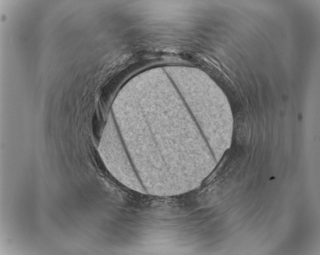 X0000088831345200707051412