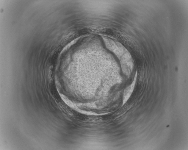 X0000088831346200707051412