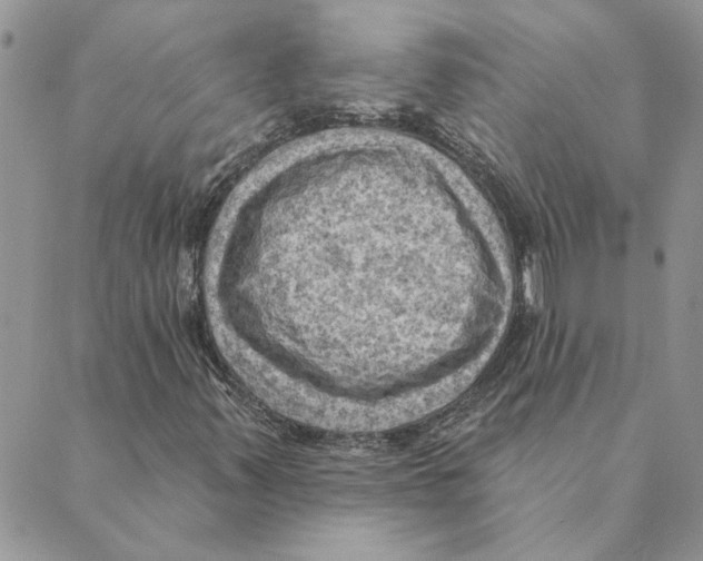 X0000088831347200707051412