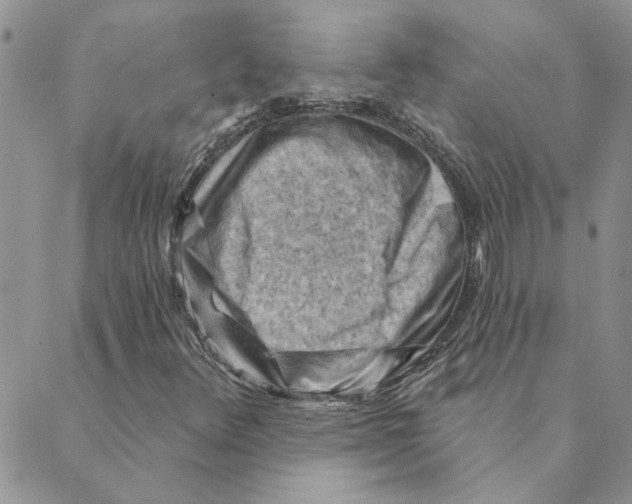 X0000088831348200707051412