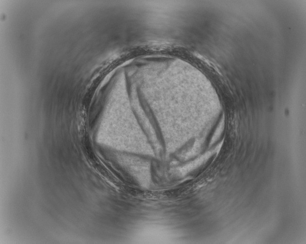 X0000088831349200707051412