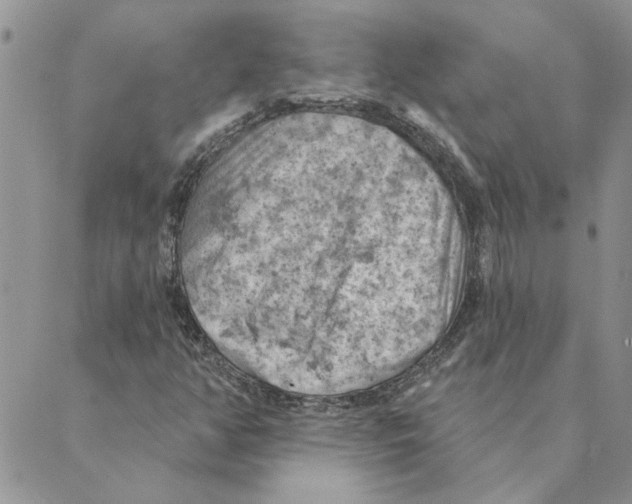 X0000088831350200707051412