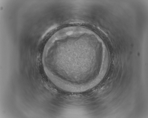 X0000088831351200707051412