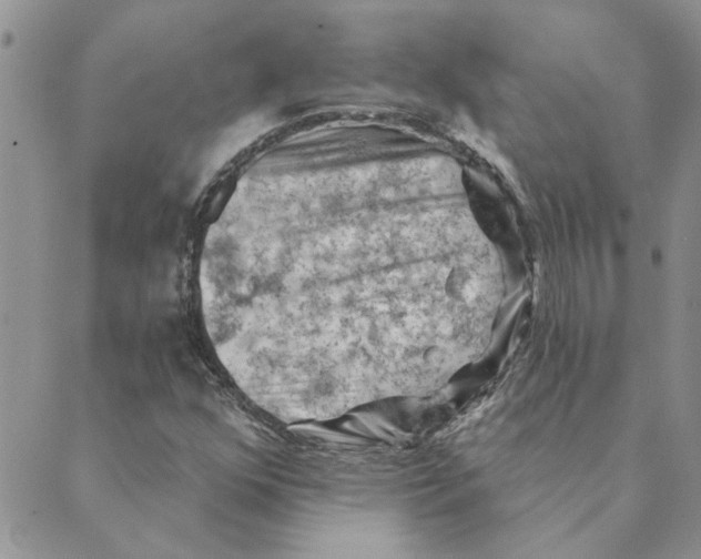 X0000088831352200707051412