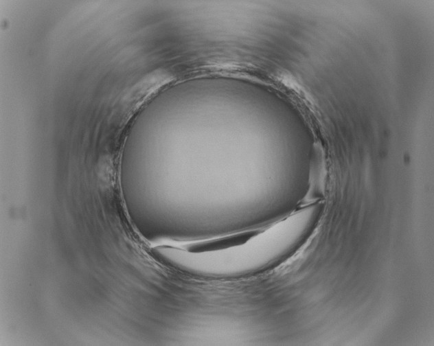 X0000088831353200707051412