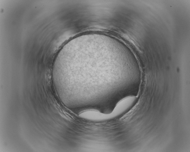 X0000088831355200707051412