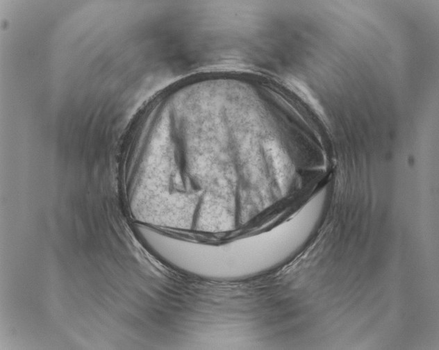 X0000088831356200707051412