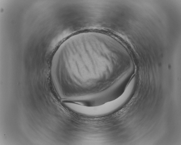 X0000088831359200707051412