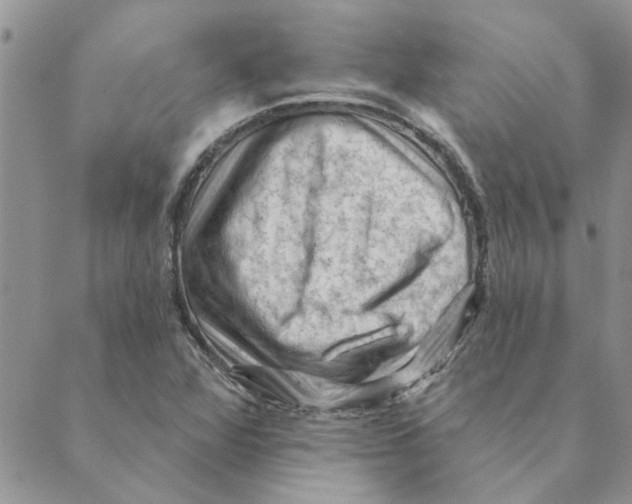 X0000088831360200707051412