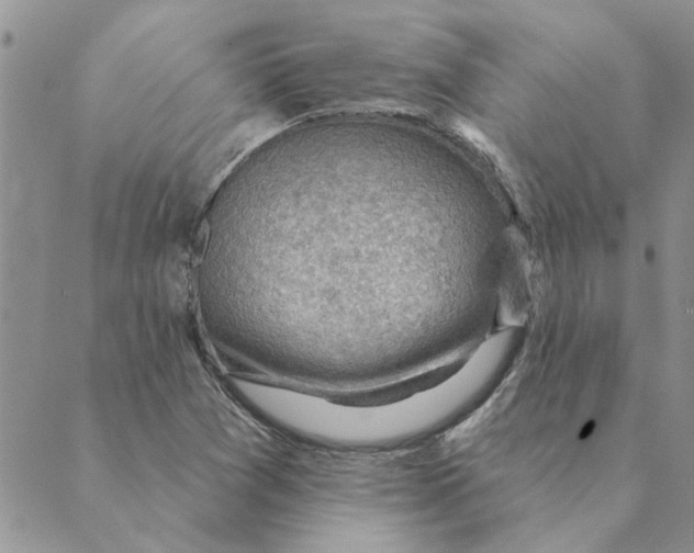 X0000088831361200707051412