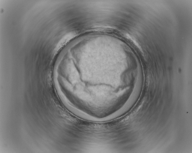 X0000088831362200707051411