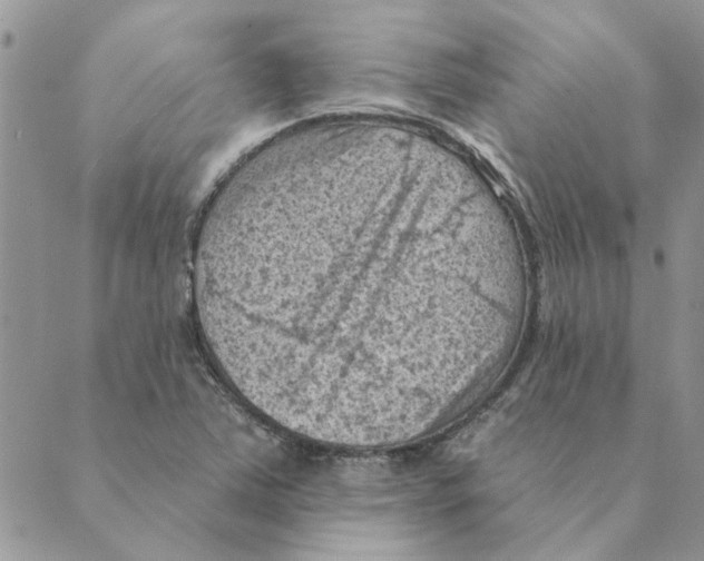 X0000088831363200707051411