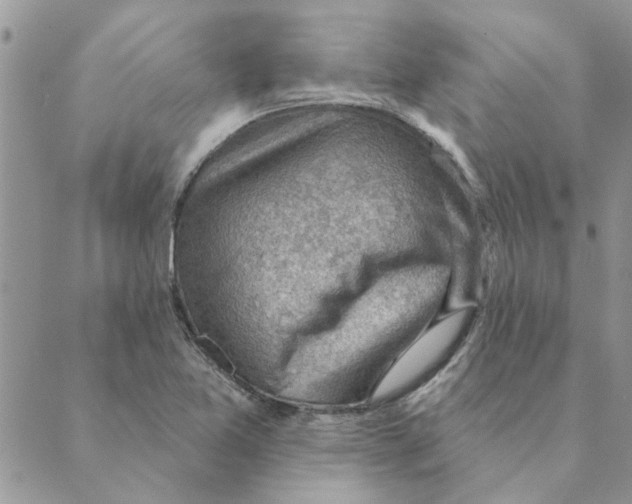 X0000088831365200707051411