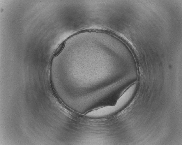 X0000088831367200707051411