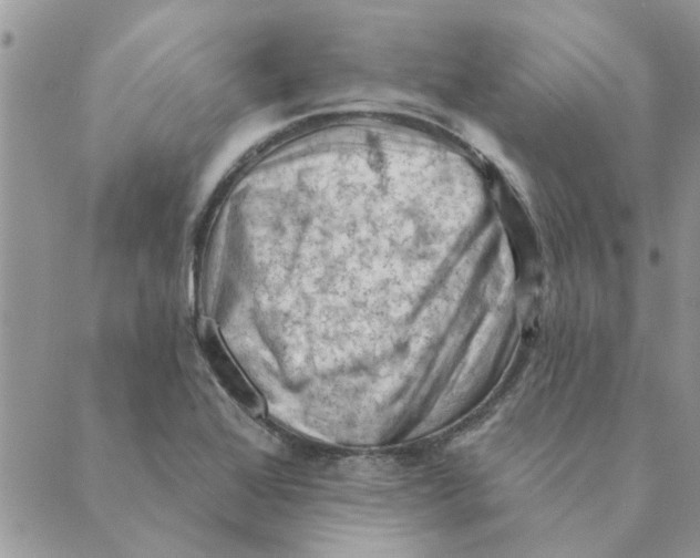 X0000088831368200707051411