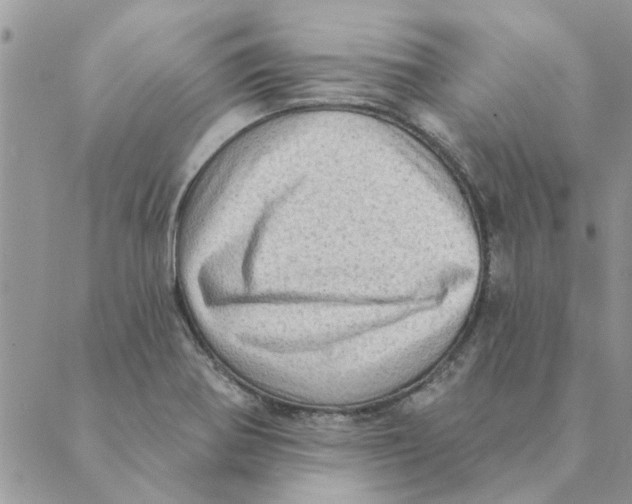 X0000088831370200707051411