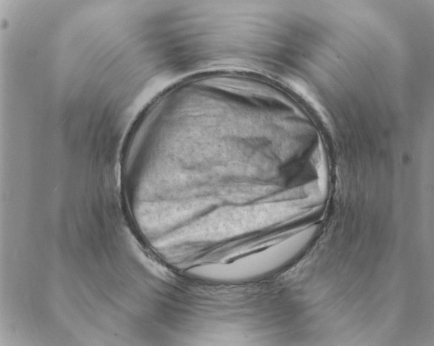 X0000088831372200707051411