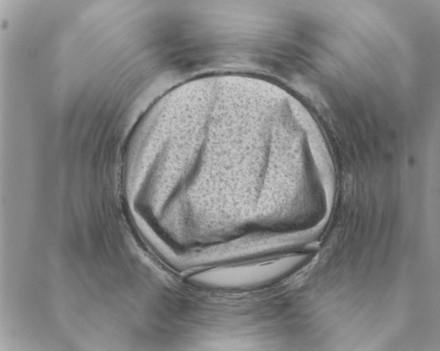 X0000088831374200707051411