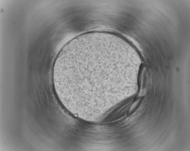 X0000088831375200707051411