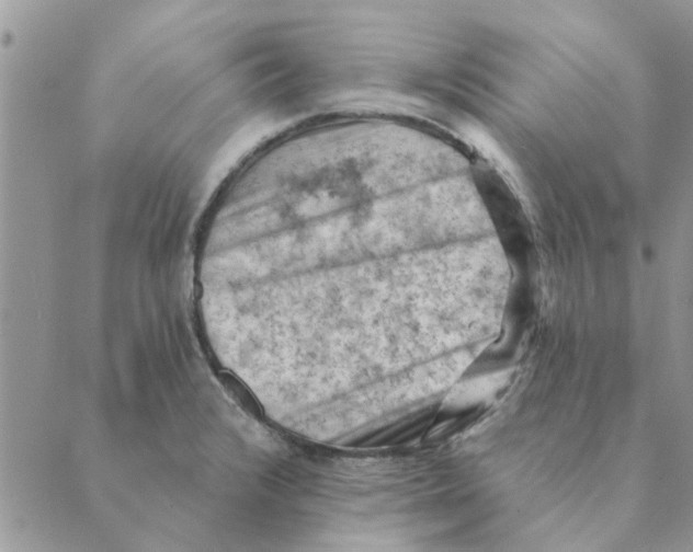 X0000088831376200707051411