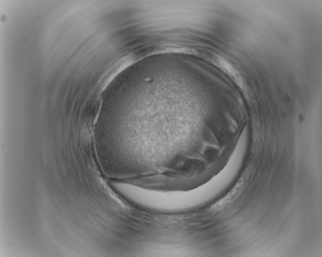 X0000088831377200707051411