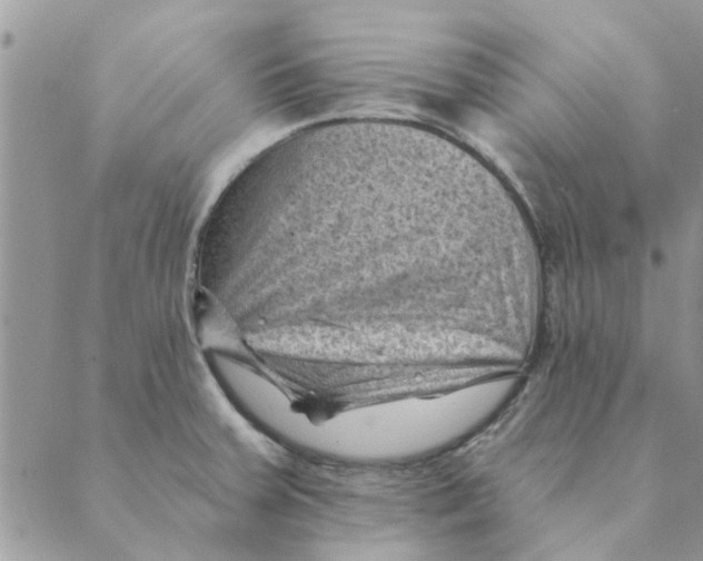 X0000088831379200707051411