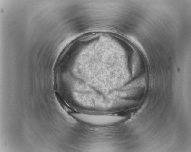 X0000088831380200707051411