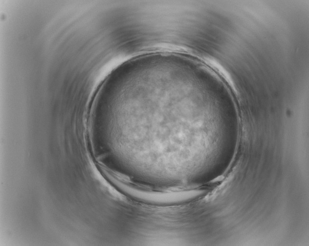 X0000088831381200707051411