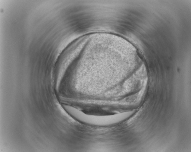 X0000088831382200707051411