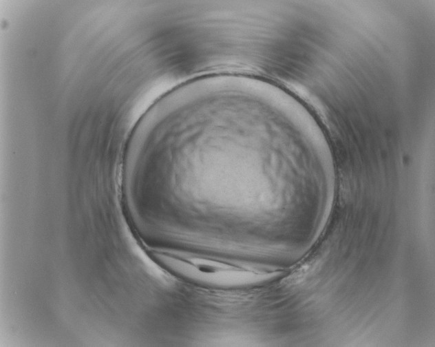 X0000088831383200707051411