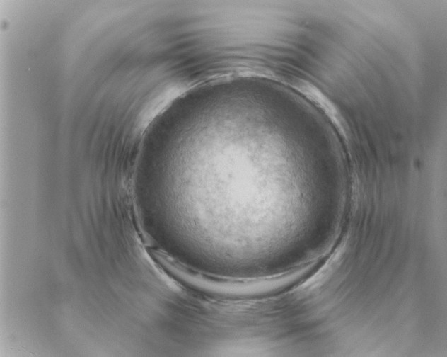 X0000088831385200707051411