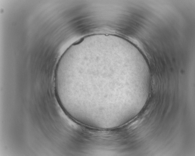 X0000088831387200707051411