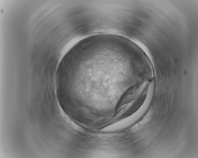 X0000088831389200707051411