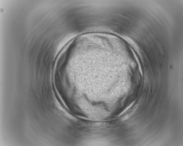 X0000088831390200707051411