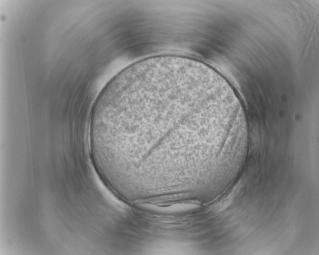 X0000088831391200707051411