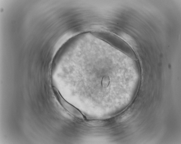 X0000088831392200707051411