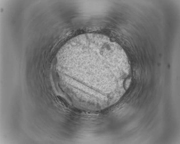 X0000088831393200707051410