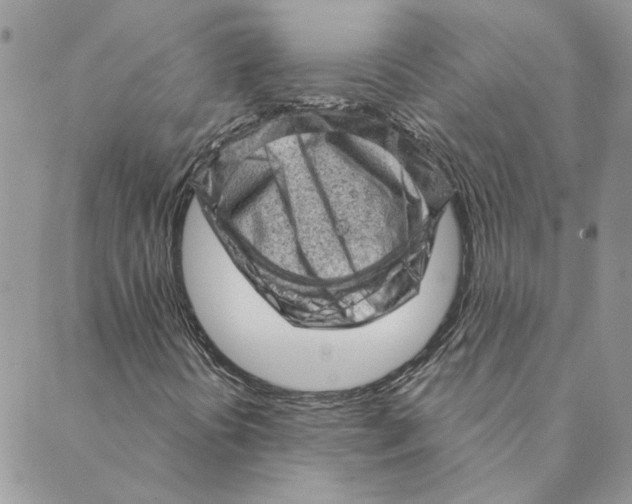 X0000088831394200707051410