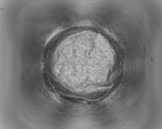 X0000088831400200707051410