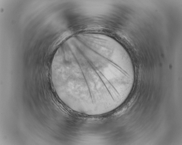 X0000088831401200707051410