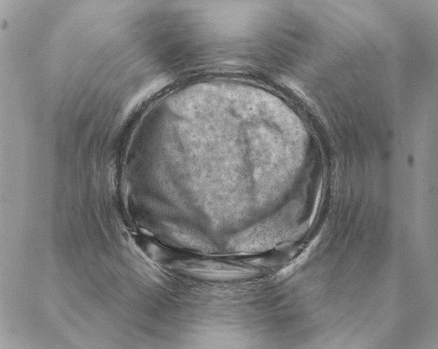 X0000088831402200707051410