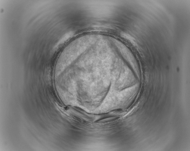 X0000088831403200707051410