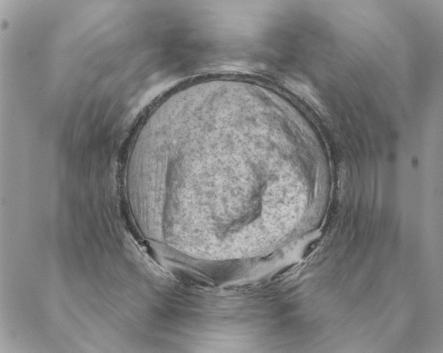 X0000088831404200707051410