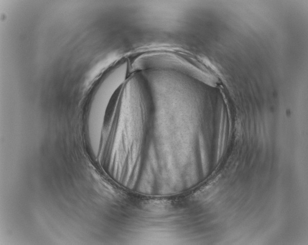 X0000088831406200707051410