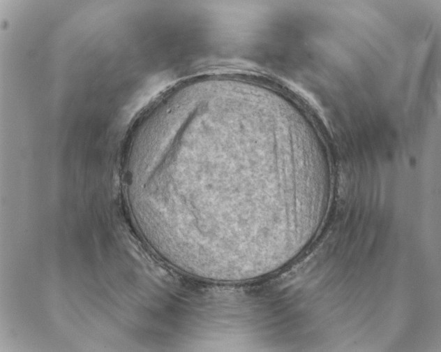 X0000088831407200707051410