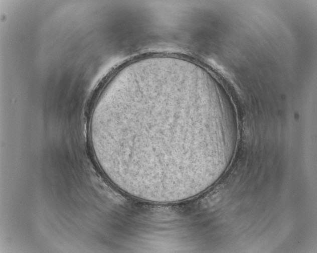 X0000088831408200707051410