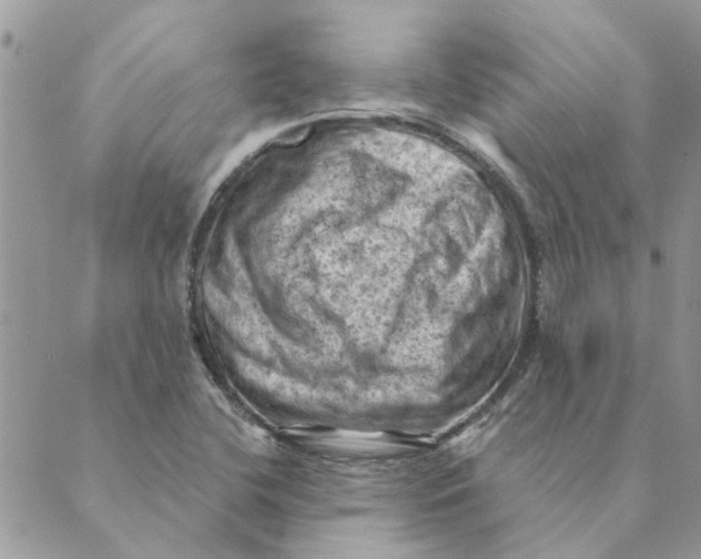 X0000088831412200707051411