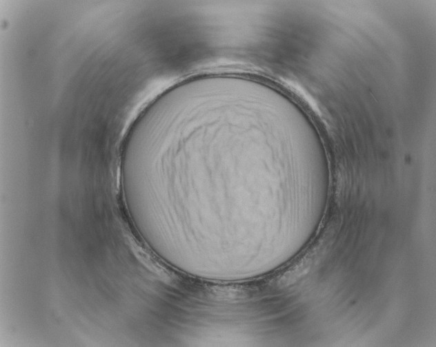 X0000088831413200707051411