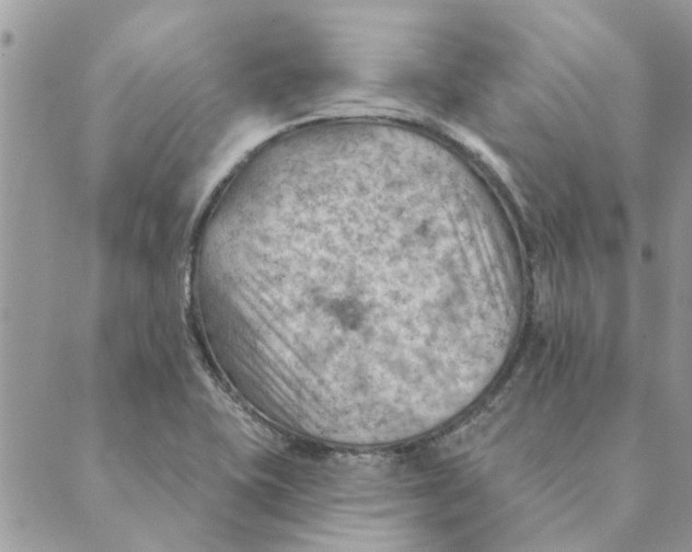 X0000088831415200707051411